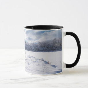 Schneebedeckter Teich und Wälder in Salem Hills Tasse