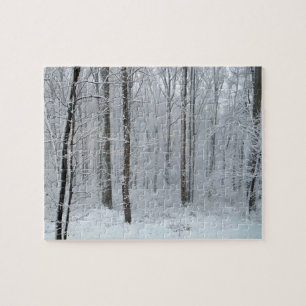 Schneebedeckter Weißer Pappelwald