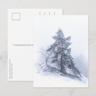 Schneebedecktes Foto Tree Winter Postkarte