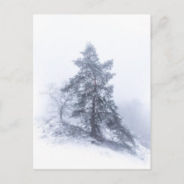 Schneebedecktes Foto Tree Winter Postkarte