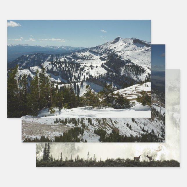 Schneebedeckungen des Grand Teton Mountains II Fot Geschenkpapier Set (Set)