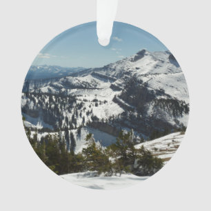 Schneebedeckungen des Grand Teton Mountains II Fot Ornament