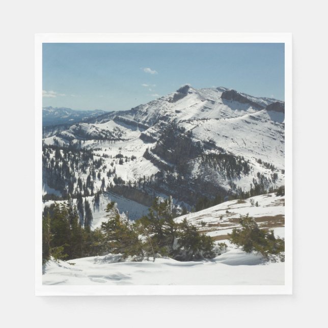 Schneebedeckungen des Grand Teton Mountains II Fot Serviette (Vorderseite)