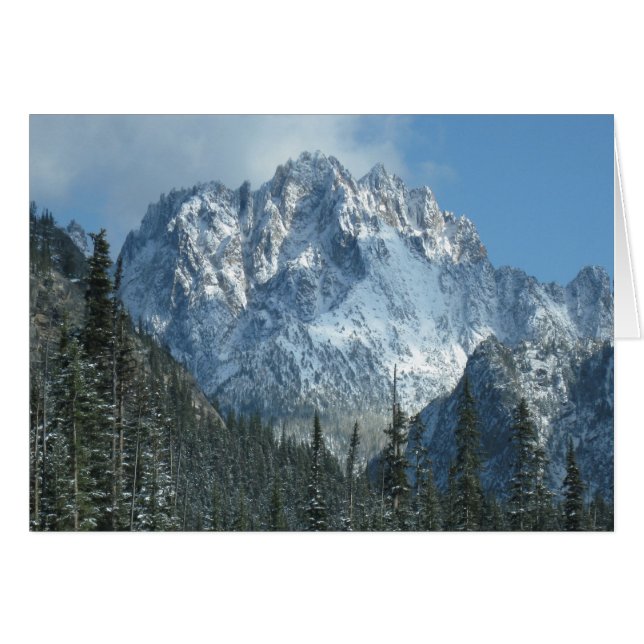 Schneeberg (Vorderseite (Horizontal))