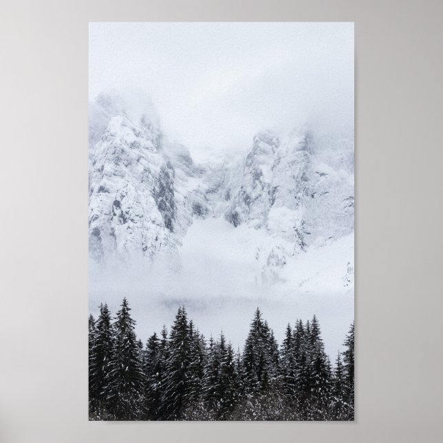 Schneeberge und Fichtenwald Poster (Vorne)