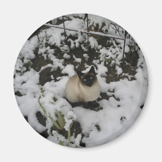 Schneebilder, Schneekatze Magnet