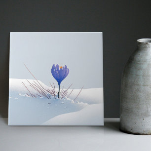 Schneeblaue Berg-Krokus-Wiedergeburts-Blumenkerami Fliese