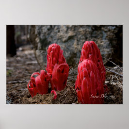 Schneeblocken Poster