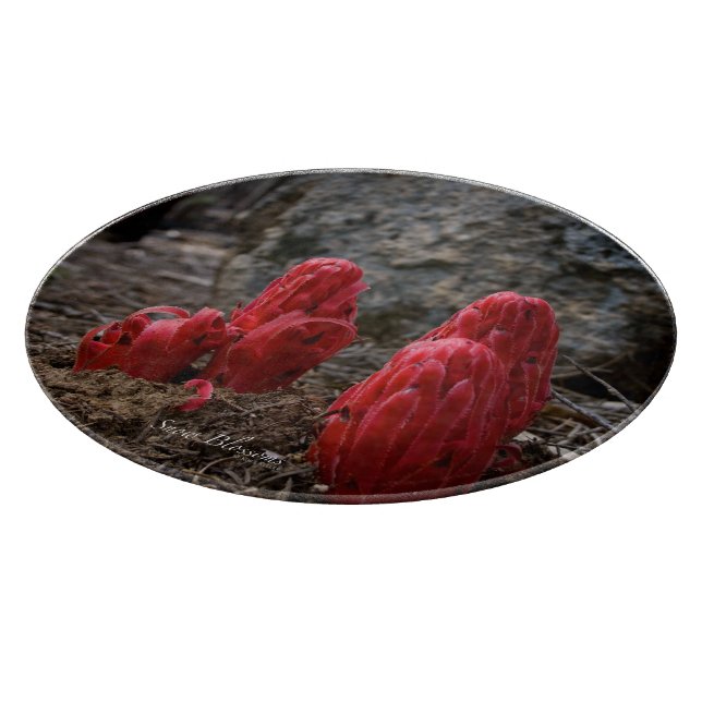 Schneeblocken Schneidebrett (Ecke)