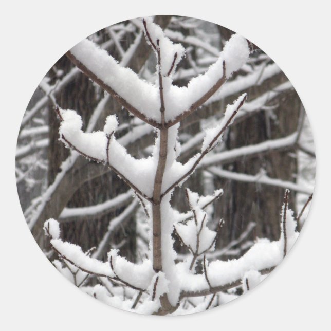 Schneebründe Branchen Runder Aufkleber (Vorderseite)