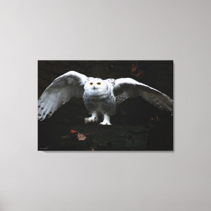 Schneebuhl mit offenem Flügel 36x24 (90x60cm) Wacm Leinwanddruck