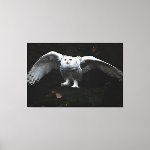 Schneebuhl mit offenen Flügeln 60x40 (150x100cm) Leinwanddruck