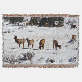 Schneedecke durch Elche Decke