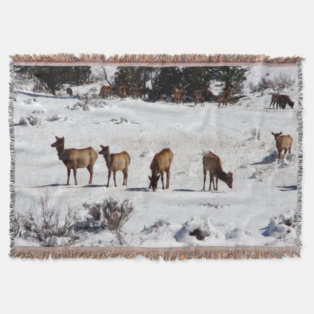 Schneedecke durch Elche Decke (Vorderseite)