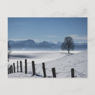 Schneedecke Foto Postkarte