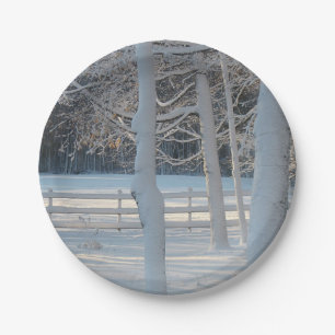 Schneedecke Pappteller