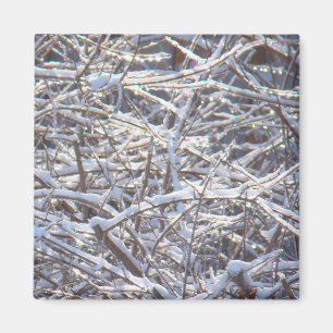 Schneeeiszweige im Winter Magnet