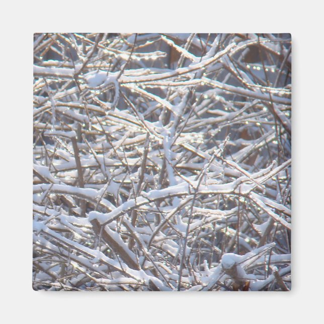 Schneeeiszweige im Winter Magnet (Vorne)