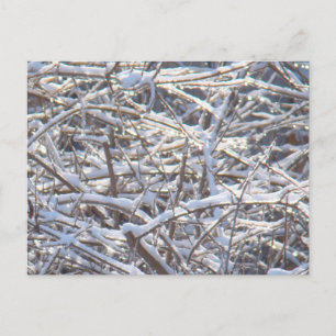 Schneeeiszweige im Winter Postkarte