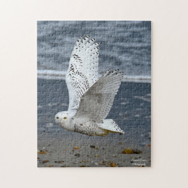 Schneeeule am Strand  (Vertikal)