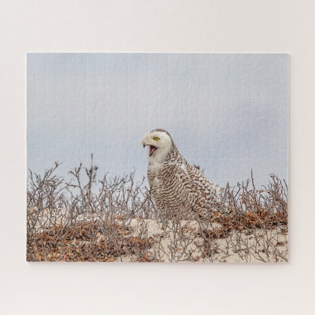 Schneeeule am Strand (Horizontal)
