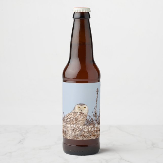 Schneeeule am Strand Bierflaschenetikett (Vorderseite)
