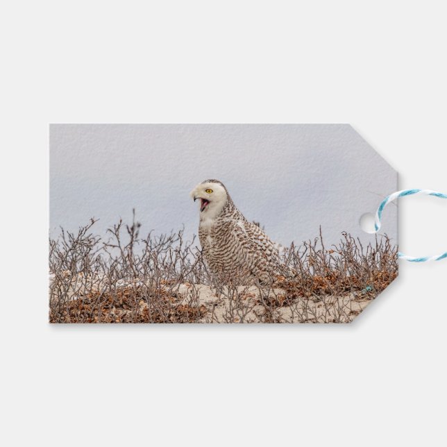 Schneeeule am Strand Geschenkanhänger (Vorderseite (Horizontal))