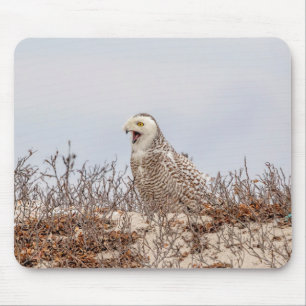 Schneeeule am Strand Mousepad