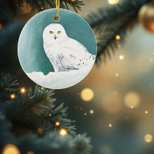 Schneeeule Arktischer Winterhimmel Schnee Türkis Keramik Ornament