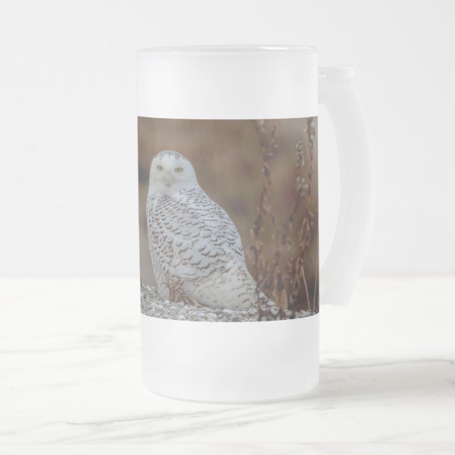 Schneeeule auf einem Felsen Mattglas Bierglas (VorderseiteRechts)