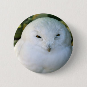 Schneeeule Button