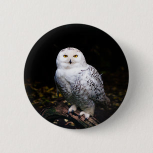 Schneeeule Button