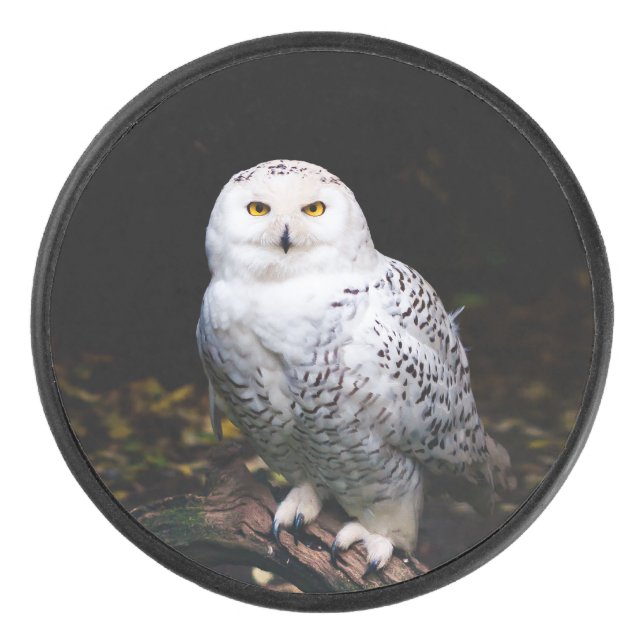 Schneeeule Eishockey Puck (Vorderseite)