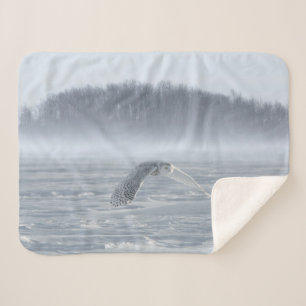 Schneeeule fliegt im Winter Sherpadecke