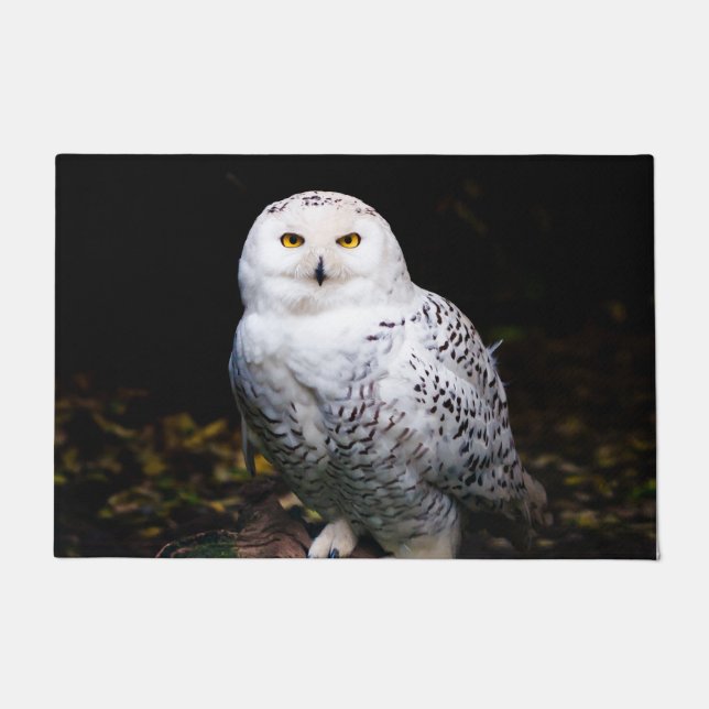 Schneeeule Fußmatte (Vorderseite)