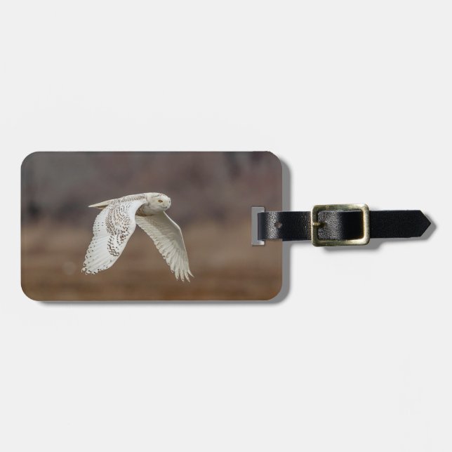 Schneeeule im Flug Gepäckanhänger (Vorderseite horizontal)