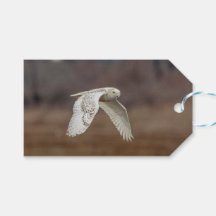 Schneeeule im Flug Geschenkanhänger