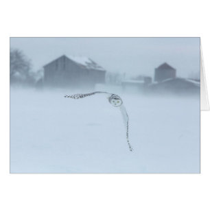 Schneeeule im Flug im Winter