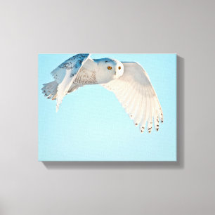 Schneeeule im Flug Leinwanddruck