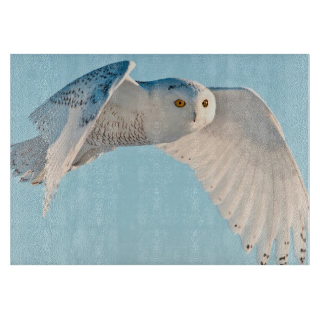 Schneeeule im Flug Schneidebrett (Vorderseite)