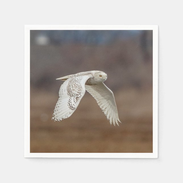 Schneeeule im Flug Serviette (Vorderseite)