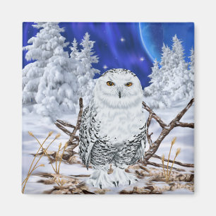 Schneeeule im Schnee Magnet