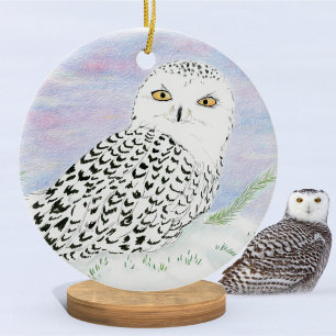 Schneeeule im Winteruntergang Farbiger Bleistift  Keramik Ornament
