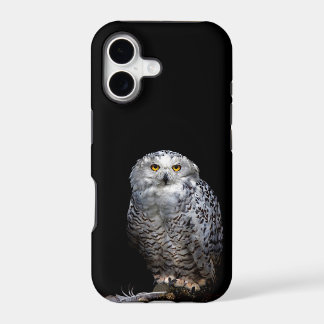 Schneeeule ist am Telefon für Sie!