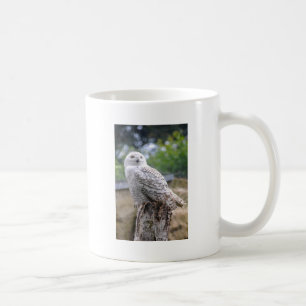 Schneeeule Kaffeetasse