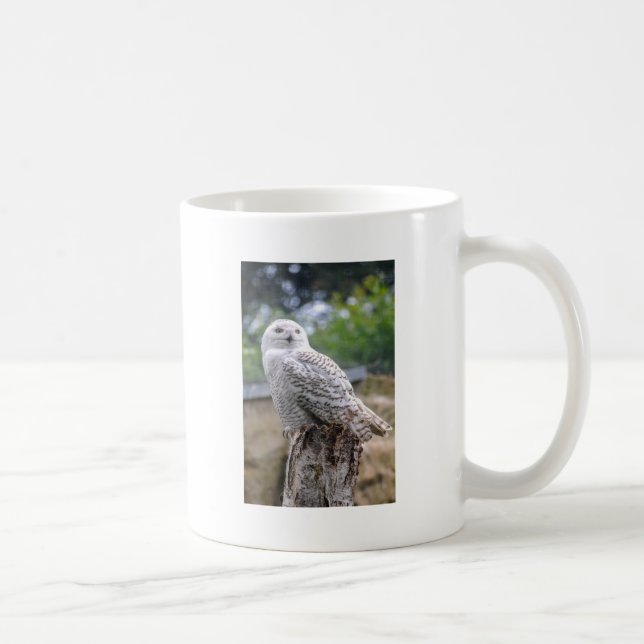 Schneeeule Kaffeetasse (Rechts)