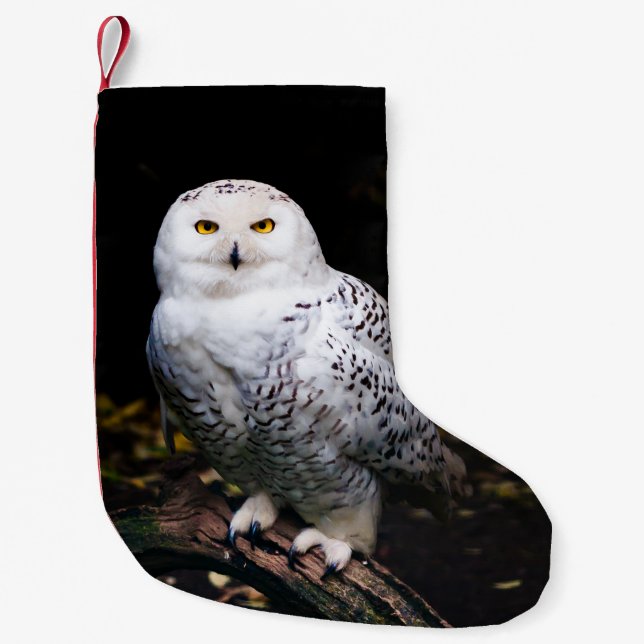 Schneeeule Kleiner Weihnachtsstrumpf (Vorderseite)
