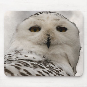Schneeeule Mousepad