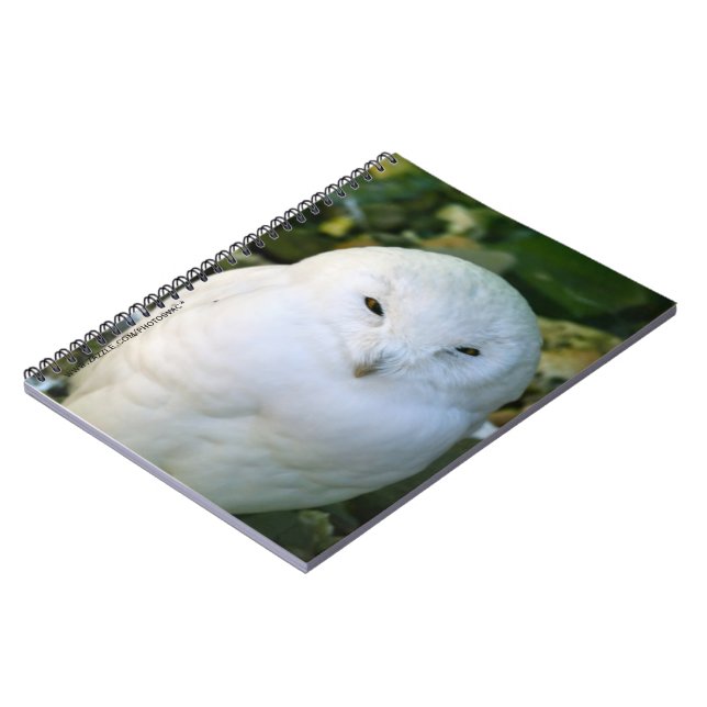 Schneeeule Notizblock (Linke Seite)