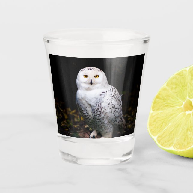 Schneeeule Schnapsglas (Vorderseite)